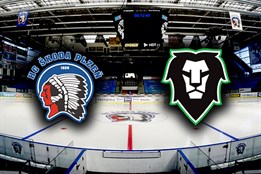 HC Škoda Plzeň - BK Mladá Boleslav