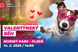 Valentýnský běh Plzeň