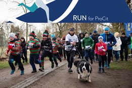 RUN for ProCit 2023
